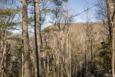 A stunning spec home by a second-generation local custom builder on Sapphire National Golf Club in North Carolina - for sale on GolfHomes.com, golf home, golf lot