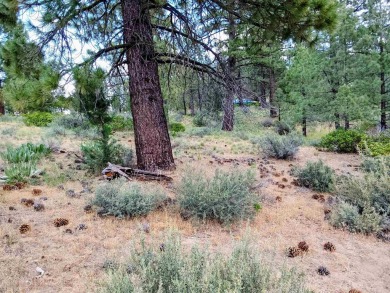 Take My Word For It. This IS a home site like none-other in on Nakoma Golf Resort in California - for sale on GolfHomes.com, golf home, golf lot