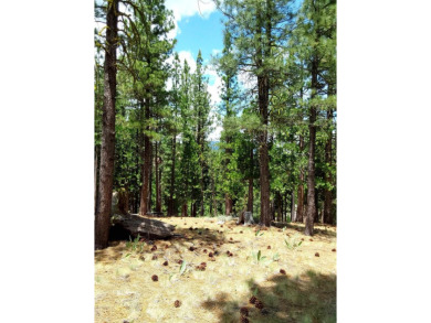 Take My Word For It. This IS a home site like none-other in on Nakoma Golf Resort in California - for sale on GolfHomes.com, golf home, golf lot
