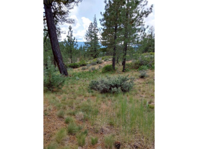 Take My Word For It. This IS a home site like none-other in on Nakoma Golf Resort in California - for sale on GolfHomes.com, golf home, golf lot