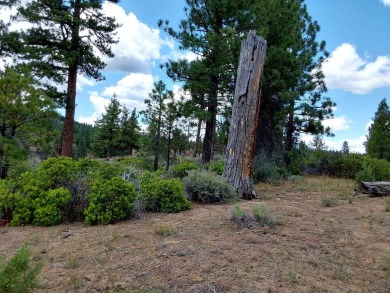 Take My Word For It. This IS a home site like none-other in on Nakoma Golf Resort in California - for sale on GolfHomes.com, golf home, golf lot