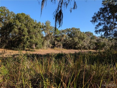 Here is your 2023 Parade of Homes Winner! So many beautiful on Citrus Springs Country Club in Florida - for sale on GolfHomes.com, golf home, golf lot