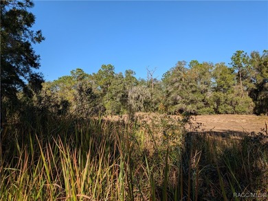Here is your 2023 Parade of Homes Winner! So many beautiful on Citrus Springs Country Club in Florida - for sale on GolfHomes.com, golf home, golf lot