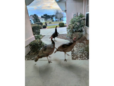 **!!**DO NOT MISS THIS GOLF COURSE HOME **!!**OWNER IS MOTIVATED on Summerglen Country Club in Florida - for sale on GolfHomes.com, golf home, golf lot