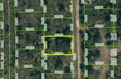 Here is your opportunity to own a lot in the Golf Course on Sun n Lake Golf and Country Club in Florida - for sale on GolfHomes.com, golf home, golf lot