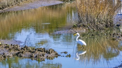 Enjoy views of the Lowcountry's tidal marsh from your own master on The Dunes Golf and Beach Club in South Carolina - for sale on GolfHomes.com, golf home, golf lot