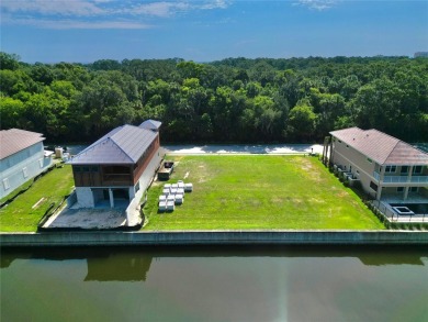 Build your Florida waterfront dream home on this Premier deep on Hammock Dunes Club in Florida - for sale on GolfHomes.com, golf home, golf lot