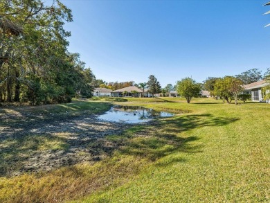 Welcome home!! Popular 55+ Villa with fantastic views of the on Summertree Golf Course in Florida - for sale on GolfHomes.com, golf home, golf lot