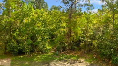 Secluded lot at Rayburn Country Resort - Embraced by the on Rayburn Country Club in Texas - for sale on GolfHomes.com, golf home, golf lot
