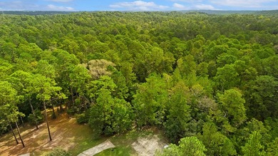Secluded lot at Rayburn Country Resort - Embraced by the on Rayburn Country Club in Texas - for sale on GolfHomes.com, golf home, golf lot