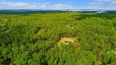 Secluded lot at Rayburn Country Resort - Embraced by the on Rayburn Country Club in Texas - for sale on GolfHomes.com, golf home, golf lot