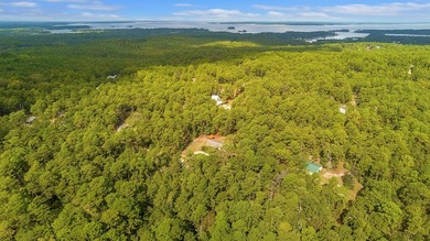 Secluded lot at Rayburn Country Resort - Embraced by the on Rayburn Country Club in Texas - for sale on GolfHomes.com, golf home, golf lot