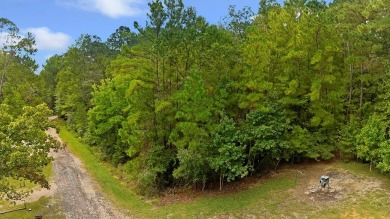 Nestled within the tranquil beauty of Lake Sam Rayburn, this on Rayburn Country Club in Texas - for sale on GolfHomes.com, golf home, golf lot