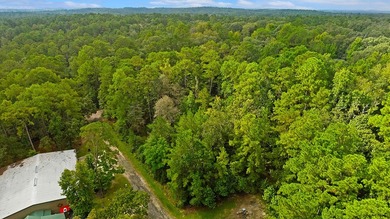 Nestled within the tranquil beauty of Lake Sam Rayburn, this on Rayburn Country Club in Texas - for sale on GolfHomes.com, golf home, golf lot