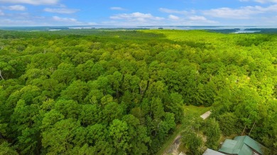 Nestled within the tranquil beauty of Lake Sam Rayburn, this on Rayburn Country Club in Texas - for sale on GolfHomes.com, golf home, golf lot