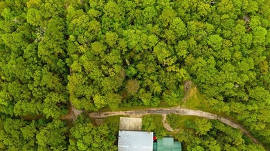 Nestled within the tranquil beauty of Lake Sam Rayburn, this on Rayburn Country Club in Texas - for sale on GolfHomes.com, golf home, golf lot