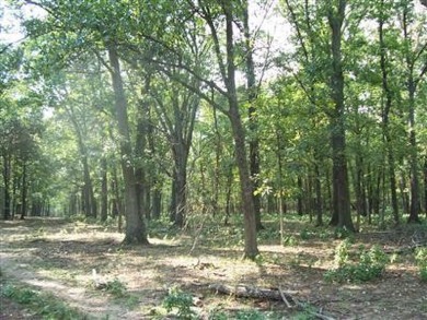 Multiple use property!  Here are 200.9 acres m/l that presently on Crown Pointe Golf Club in Missouri - for sale on GolfHomes.com, golf home, golf lot