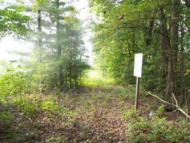 Multiple use property!  Here are 200.9 acres m/l that presently on Crown Pointe Golf Club in Missouri - for sale on GolfHomes.com, golf home, golf lot