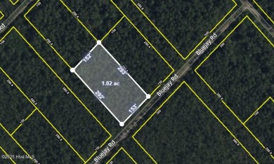 1.02-acre wooded lot in Boiling Spring Lakes, offering a on The Lakes Country Club in North Carolina - for sale on GolfHomes.com, golf home, golf lot