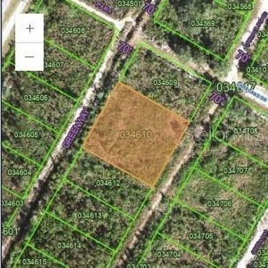 This lot is located conveniently in the heart of Florida WITH on Indian Lake Estates Golf and Country Club in Florida - for sale on GolfHomes.com, golf home, golf lot