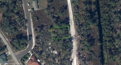 Lake Placid, Area of Placid Lakes, Residential  Building Lot on Placid Lakes Country Club in Florida - for sale on GolfHomes.com, golf home, golf lot