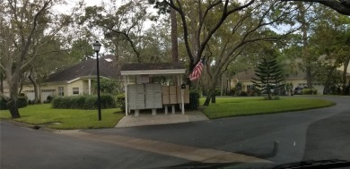 This stunning home is nestled in the gated community of Forest on Innisbrook Resort and Golf Club in Florida - for sale on GolfHomes.com, golf home, golf lot