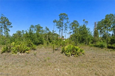 Exceptional opportunity for builders, investors, and homebuyers on Mirror Lakes Golf Club in Florida - for sale on GolfHomes.com, golf home, golf lot