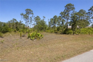 Exceptional opportunity for builders, investors, and homebuyers on Mirror Lakes Golf Club in Florida - for sale on GolfHomes.com, golf home, golf lot