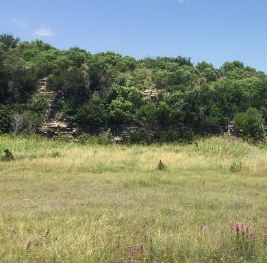 Lot 58 Cliffs Phase XI offers the ultimate blend of luxury and on The Cliffs Resort in Texas - for sale on GolfHomes.com, golf home, golf lot