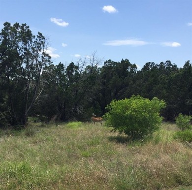 Lot 58 Cliffs Phase XI offers the ultimate blend of luxury and on The Cliffs Resort in Texas - for sale on GolfHomes.com, golf home, golf lot