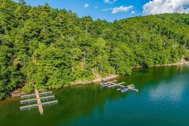 Tocami Lot 19: Breathtaking, nearly level homesite with on  in North Carolina - for sale on GolfHomes.com, golf home, golf lot