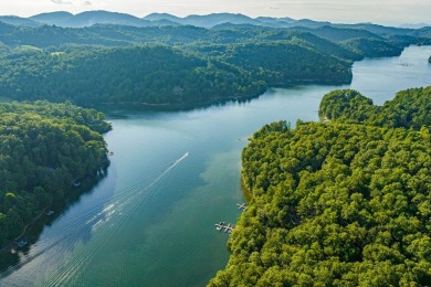 Tocami Lot 19: Breathtaking, nearly level homesite with on  in North Carolina - for sale on GolfHomes.com, golf home, golf lot