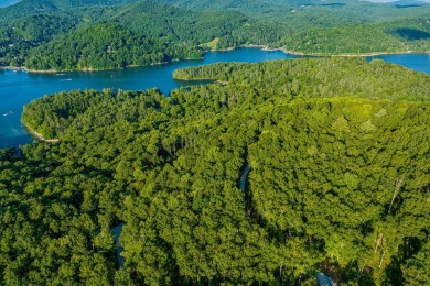 Tocami Lot 19: Breathtaking, nearly level homesite with on  in North Carolina - for sale on GolfHomes.com, golf home, golf lot