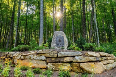 Tocami Lot 19: Breathtaking, nearly level homesite with on  in North Carolina - for sale on GolfHomes.com, golf home, golf lot