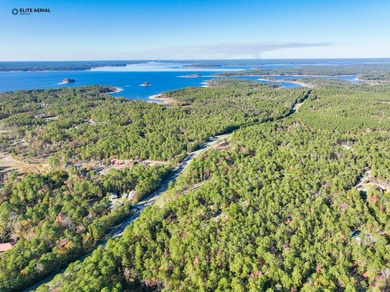 This stunning property nestled in Rayburn Country is a nature on Rayburn Country Club in Texas - for sale on GolfHomes.com, golf home, golf lot