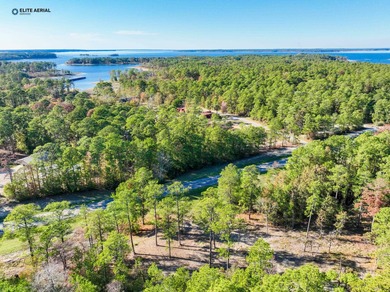 This stunning property nestled in Rayburn Country is a nature on Rayburn Country Club in Texas - for sale on GolfHomes.com, golf home, golf lot