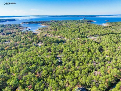 This stunning property nestled in Rayburn Country is a nature on Rayburn Country Club in Texas - for sale on GolfHomes.com, golf home, golf lot