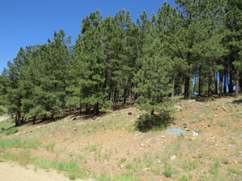 Signature Hole #6-this parcel is located right on the Angel Fire on Angel Fire Resort Country Club in New Mexico - for sale on GolfHomes.com, golf home, golf lot