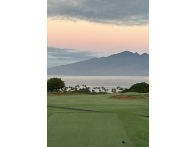 Welcome to 116 Pulelehua Street in Pineapple Hill Estates, where on Kapalua Golf Club - Bay Course in Hawaii - for sale on GolfHomes.com, golf home, golf lot