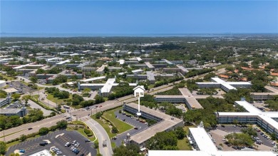 ** COME IN ** Welcome, make yourself at home in this 2 bedroom 2 on On Top Of The World Golf Course in Florida - for sale on GolfHomes.com, golf home, golf lot