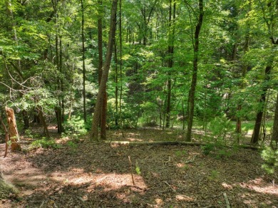 Ready to build your dream mountain home? Discover this 2.70 ACRE on White Path Golf Club in Georgia - for sale on GolfHomes.com, golf home, golf lot