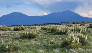 Do you want Land lots of Land with blue skies and mountain views on Walsenburg Golf Club in Colorado - for sale on GolfHomes.com, golf home, golf lot