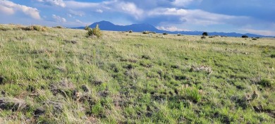 Do you want Land lots of Land with blue skies and mountain views on Walsenburg Golf Club in Colorado - for sale on GolfHomes.com, golf home, golf lot