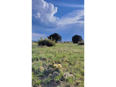 Do you want Land, lots of Land with blue skies and mountain on Walsenburg Golf Club in Colorado - for sale on GolfHomes.com, golf home, golf lot