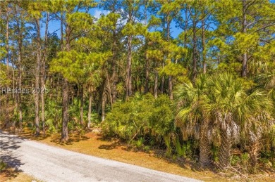 Exceptional opportunity to own one of Fripp Island's premier on Ocean Point Golf Links in South Carolina - for sale on GolfHomes.com, golf home, golf lot