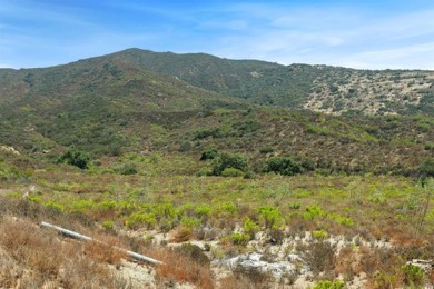 Development opportunity!  46.68 acres of spectacular panoramic on Steele Canyon Golf Club in California - for sale on GolfHomes.com, golf home, golf lot