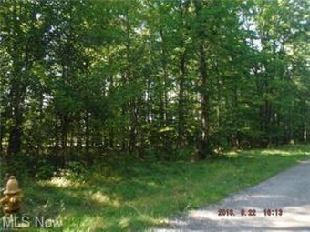Here is a great opportunity to build your dream home, with views on Signature of Solon Country Club in Ohio - for sale on GolfHomes.com, golf home, golf lot