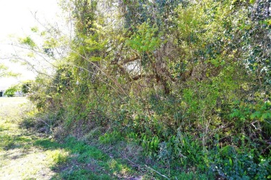Great opportunity to buy and build or invest and wait. Location on Port Charlotte Golf Club in Florida - for sale on GolfHomes.com, golf home, golf lot