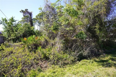 Great opportunity to buy and build or invest and wait. Location on Port Charlotte Golf Club in Florida - for sale on GolfHomes.com, golf home, golf lot