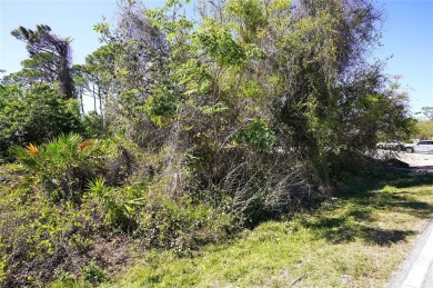 Great opportunity to buy and build or invest and wait. Location on Port Charlotte Golf Club in Florida - for sale on GolfHomes.com, golf home, golf lot